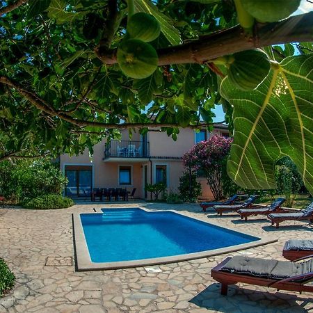 House /Villa Maja Ližnjan Exterior foto